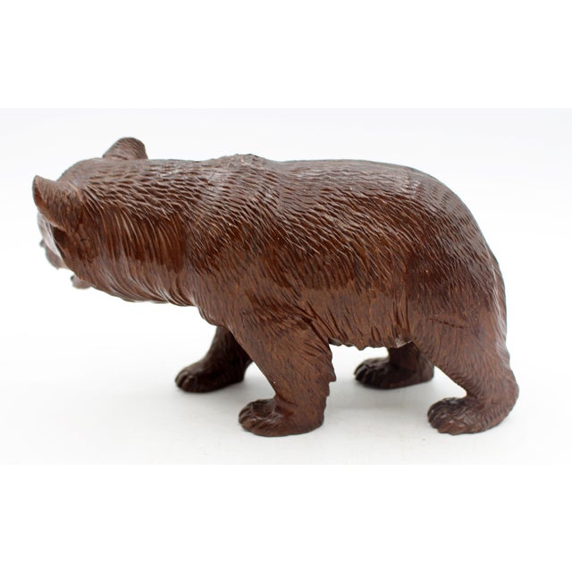 Circa 1900 Swiss Small-Medium Size Strolling Black Forest Bear For Sale - Image 4 of 6