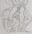 Auguste Rodin, Ombres et Lutte de Jacob avec l'ange, Etching For Sale - Image 7 of 8