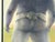 Phyllis Steele Modern Pastel Figurative Drawing of a Sumo Wrestler in a Mawashi from Behind, 20th Century For Sale - Image 9 of 10