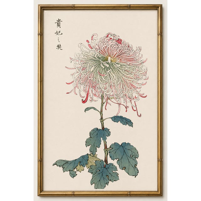 Asian Mum by Hasegawa, Vintage Japanese Botanical Art Print, 36" X 54" For Sale In Buffalo - Image 6 of 11