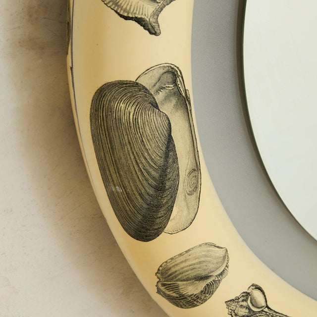 Italian Shell Motif Backlit Wall Mirror, 1960s For Sale - Image 9 of 11