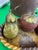 Mediterranean Vintage Pottery Fruit and Basket With Brass Accents For Sale - Image 3 of 8