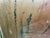 20th Century Abstract Nude by Kenneth Foreman For Sale - Image 4 of 7