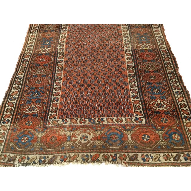 Antique Persian Kurdish Area Rug, Handwoven All-Over Paisley Pattern, Rust Red & Navy, 3’ X 6’ For Sale In Chicago - Image 6 of 8