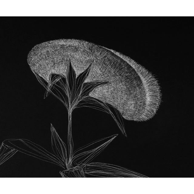 Secret Garden 14 by Alina Aldea For Sale - Image 4 of 6