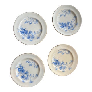 Late Victorian Era Minton English Bone China "Chrysanthemum" Plates - Set of 4 W/ Gold Rim For Sale