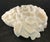 Nautical Authentic Natural Brain Coral Speciman For Sale - Image 3 of 6