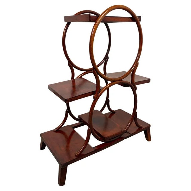 Bentwood Plant Stand from Thonet, 1920s For Sale - Image 10 of 10