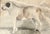Charming Americana Folk Art Drawing Painting of a Dog. Cannot recognize the breed some form of hunting dog, great facial...