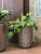 Rare Robert Maxwell & David Cressey Small Planter or Vase for Earthgender. Studio executed in hand thrown and designed...
