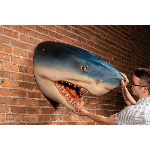 Oversized hand-painted shark head wall mount with open jaws, molded teeth, raised eyes, nostrils, and blue-to-white...