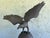 American Mid-Century Cast Bronze Bald Eagle on Globe Sculpture — 20.5” For Sale - Image 3 of 10