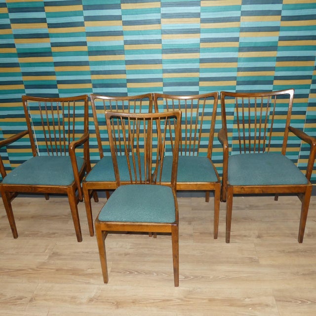 Charming set 2 armchairs, 3 dining chairs elegant chair, mid-century design classic by musterring furniture marked ii/56...