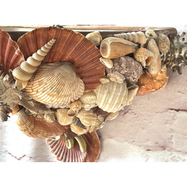 Vintage Pair of Shell-Encrusted Wall Sconces For Sale - Image 10 of 13