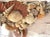 Vintage Pair of Shell-Encrusted Wall Sconces For Sale - Image 10 of 13
