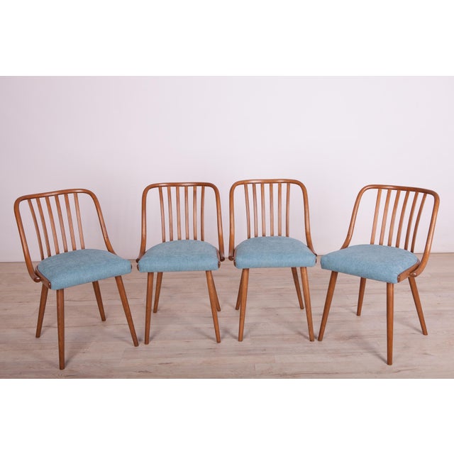 Dining Chairs attributed to Antonin Suman for Ton, 1960s, Set of 4 For Sale - Image 15 of 15