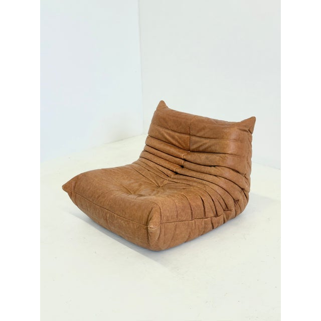 Ligne Roset Togo Armchair with Ottoman in Cognac Leather by Michel Ducaroy for Ligne Roset, 2000s, Set of 2 For Sale - Image 4 of 14