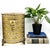 Elegant, vintage brass wastebasket featuring intricate pierced filigree, sculptural rose appliqués, and ornate rose-form...