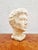 Sculptured Plaster Female Modelled Head, Italy, 1950s For Sale - Image 12 of 13