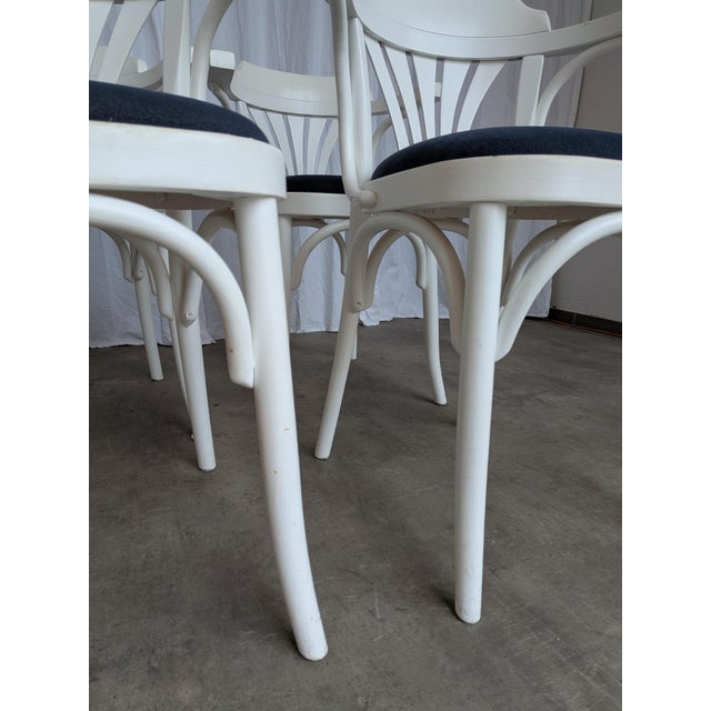 Vintage White Bentwood Dining Chairs with Blue Fabric Seats, 1970s, Set of 6 For Sale - Image 6 of 18