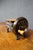 Victorian Victorian Cast Iron Tobacco Cutter With Crank Handle For Sale - Image 3 of 14