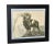 Vintage Black Wood Framed Sketch of a grazing Ram in the bushes, from the Book Peinture et Dessins de Paul Jouve. Dated...