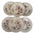 Antique 19th Century Plates in Ironstone Red Honeysuckle and Earthenware from Gien, 1890s, Set of 6 For Sale