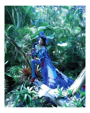 "Vogue 4" Miami Tropical Garden Photograph