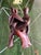 Vintage Hand-Carved Wood Interlocking Figures Sculpture For Sale - Image 13 of 13