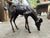 Bronze Grazing Fawn Deer Garden Sculpture For Sale - Image 11 of 15