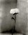 Contemporary Ugne Pouwell, Peony No.15, 2026, Analogue Floral Photography, Limited Edition of 10 For Sale - Image 3 of 3
