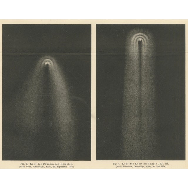 Antique Comet Study Kometen, 1890s For Sale - Image 5 of 8