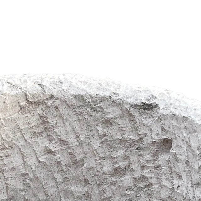 Cantera Stone Planter For Sale - Image 4 of 6