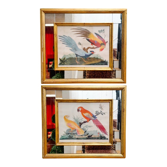 19th Century Pair of Carlo & Vittorio Raineri Exotic Bird Lithograph Prints in Antiqued Gilt Mirrored Frames For Sale