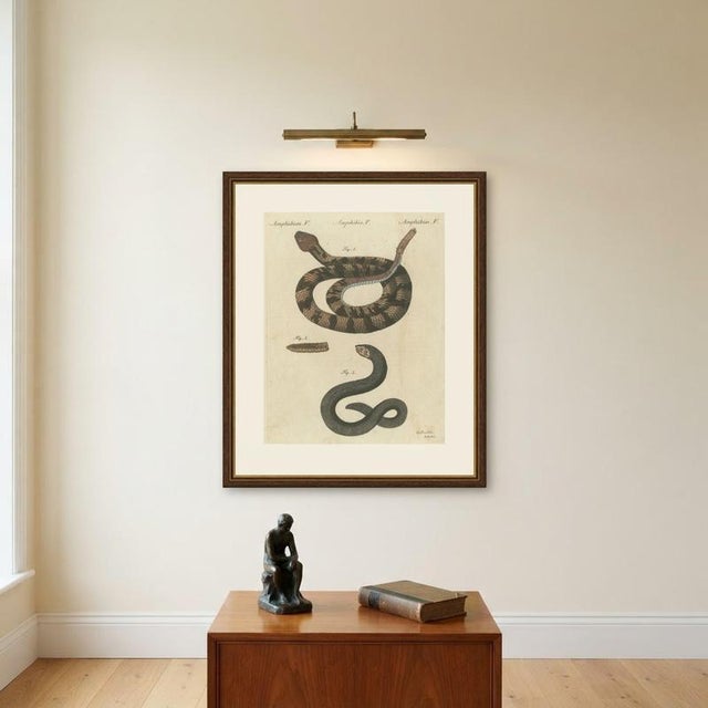 Bertuch, Rattlesnake with Its Rattle, 1805, Print For Sale - Image 10 of 12
