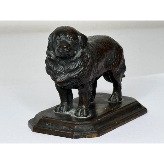 1920s Scottish Art Deco Bronze Newfoundland Dog With Historic Inscription For Sale - Image 5 of 12