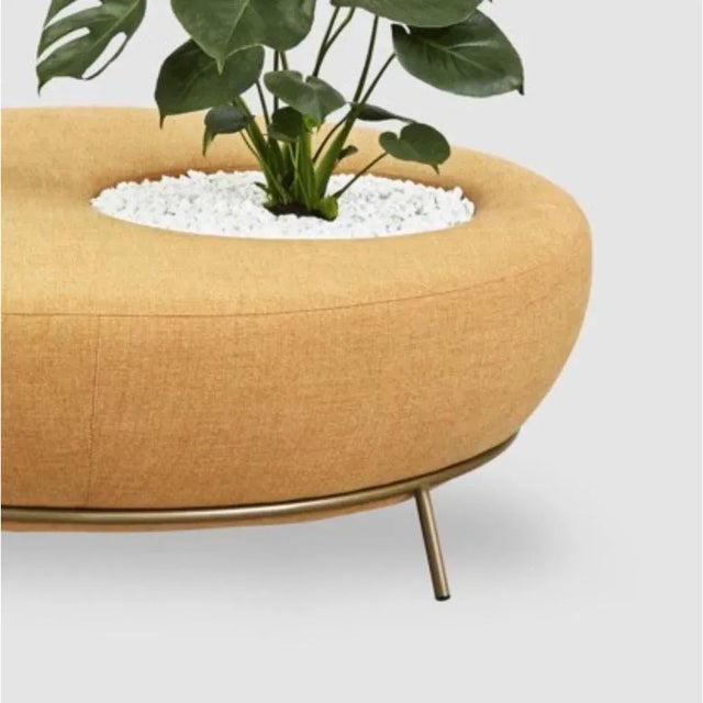 Nest Round Sofa Planter by Pepe Albargues For Sale - Image 4 of 6