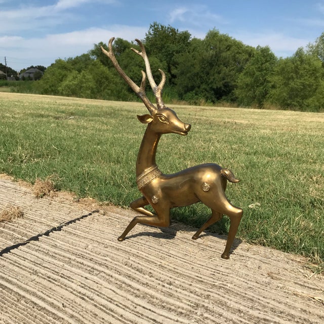 Sarreid Ltd. Ed. brass deer in flight from danger behind. Smooth brass casting, unsigned. Measures H.- 17.375 in., W.-...