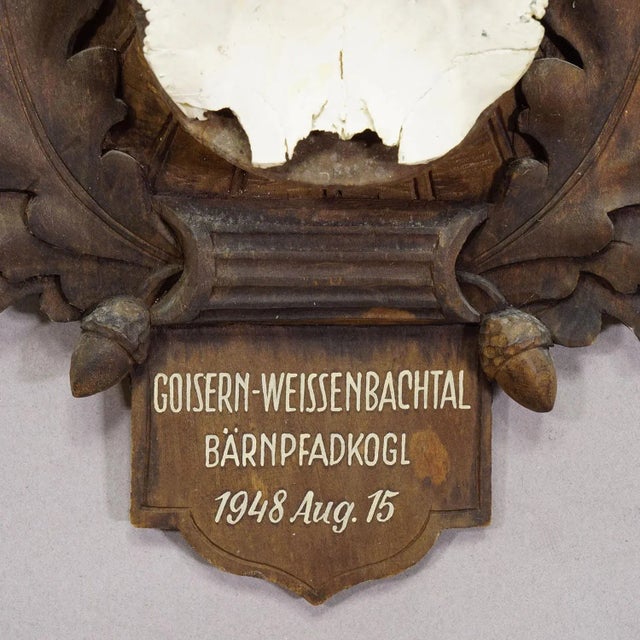Large Chamois Trophy on Carved Plaque, Austria 1948 For Sale - Image 6 of 6
