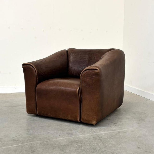 DS47 Lounge Chair from de Sede, Switzerland, 1970s For Sale - Image 5 of 13