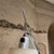 Artemide 1980s Adjustable Table Lamp Tolomeo for Artemide Milano Italy For Sale - Image 4 of 11