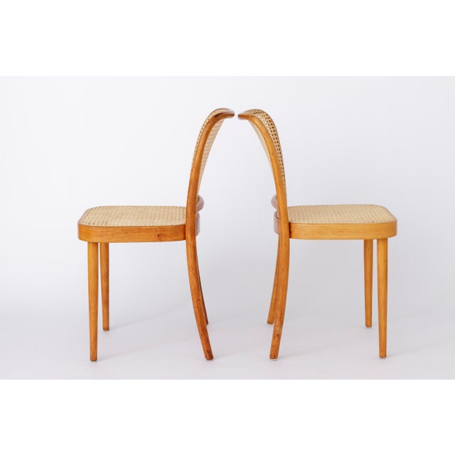 1970s Vintage Bentwood Dining Chairs by Ligna, 1960s, Set of 6 For Sale - Image 5 of 11