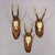 Set of Six Roe Deer Trophies on Wooden Slices Germany Ca. 1960s For Sale - Image 4 of 7