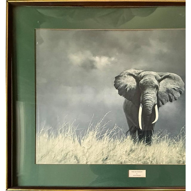 1960s Large Vintage David Shepherd Wise Old Elephant Lithograph 37x27 For Sale - Image 5 of 11