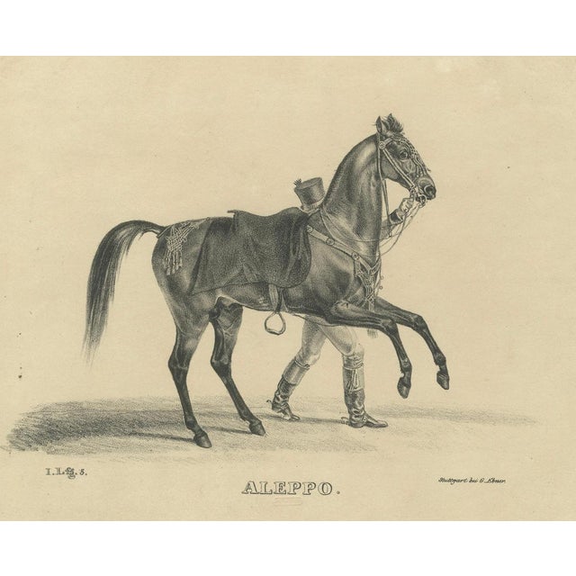 August Jäger, Aleppo, 1846, Lithograph For Sale - Image 3 of 10