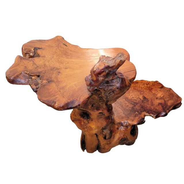 1970s Freeform Root Wood Slab Pedestal Stand | Chairish