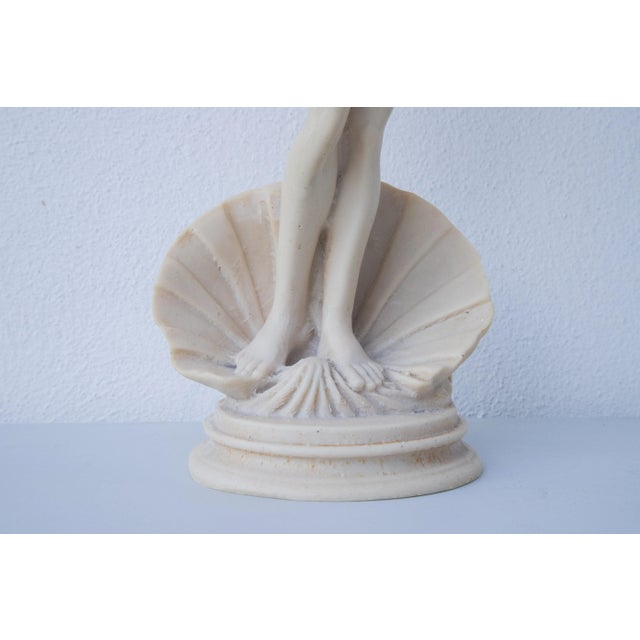Stone Vintage Sculpture Birth of Venus Botticelli, 1970 For Sale - Image 7 of 8