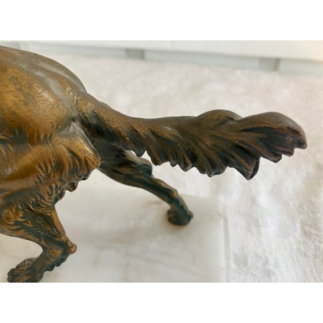 Early 1900s English Golden Retriever Bronze Dog Figurine Mounted on Italian Marble Plinth For Sale - Image 9 of 12