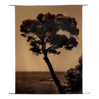 Ugne Pouwell, Prevail, 2022, Photography For Sale