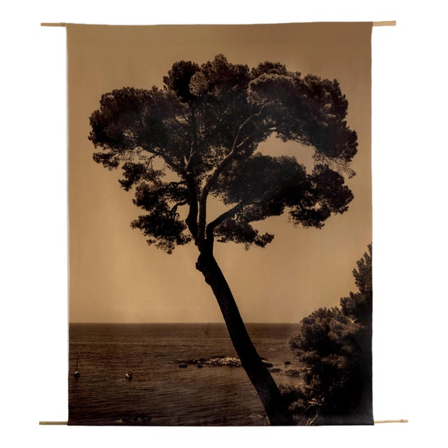 Ugne Pouwell, Prevail, 2022, Photography For Sale